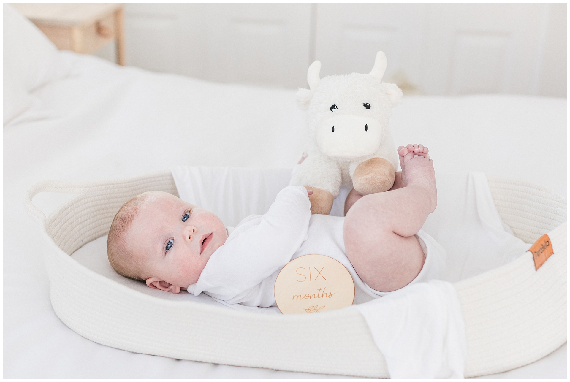 Six-month-old baby in a white onesie lying in a woven basket during milestone photo session in Maryland, with wooden age marker and stuffed animal.