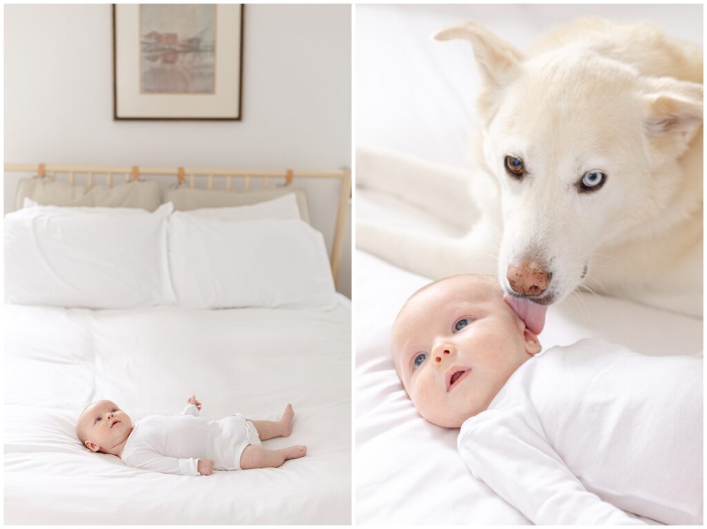 Two-month milestone photo of baby in a white onesie and natural light setting and his dog