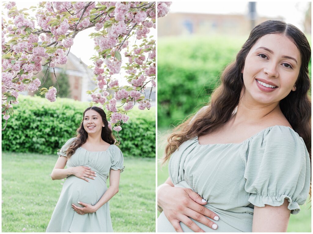 Maternity portraits in Maple Lawn Maryland during spring cherrry blossom mini session