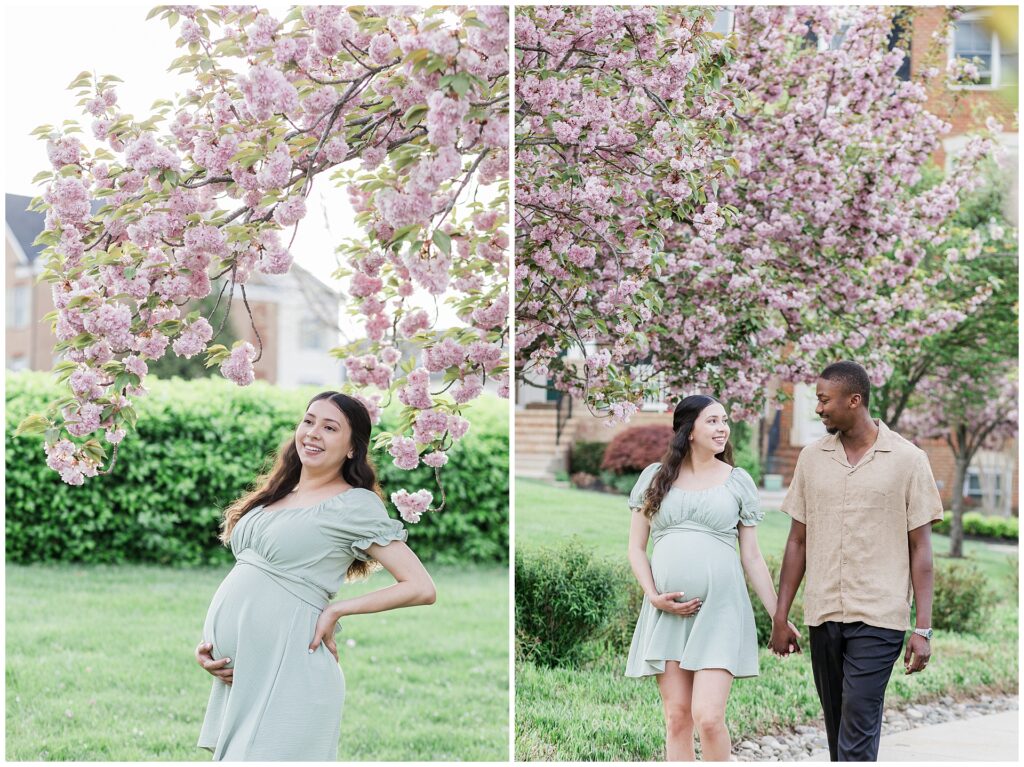Maternity portraits in Maple Lawn Maryland during spring cherrry blossom mini session