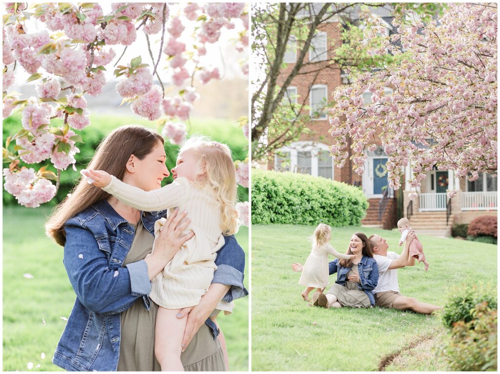 Howard County family photography with young children under cherry blossoms