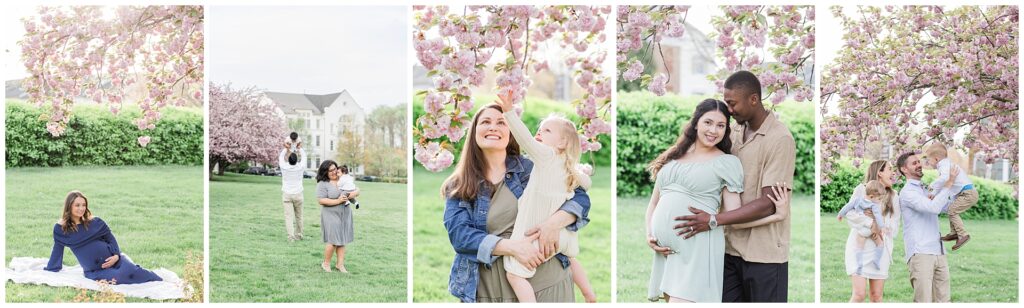 Families during their Howard County Cherry Blossom Mini session.