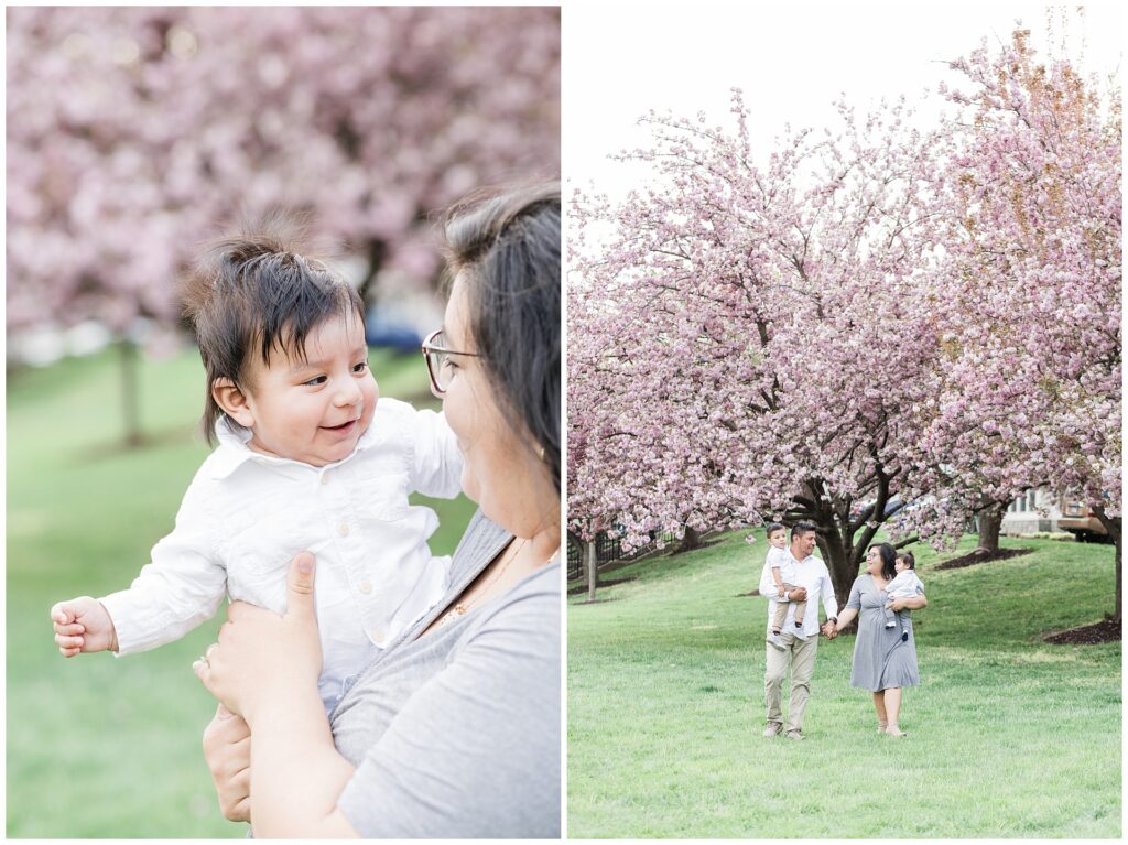 Howard County family photography with young children under cherry blossoms