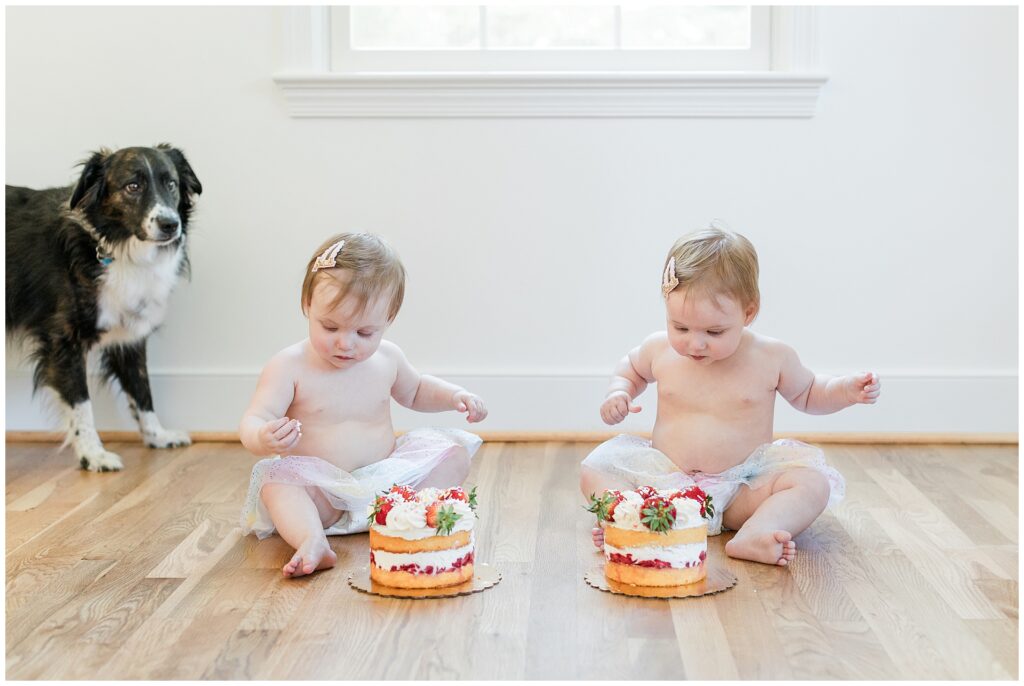 Twin girls sitting with individual strawberry shortcakes during a first birthday cake smash session at home in Montgomery County, Maryland.