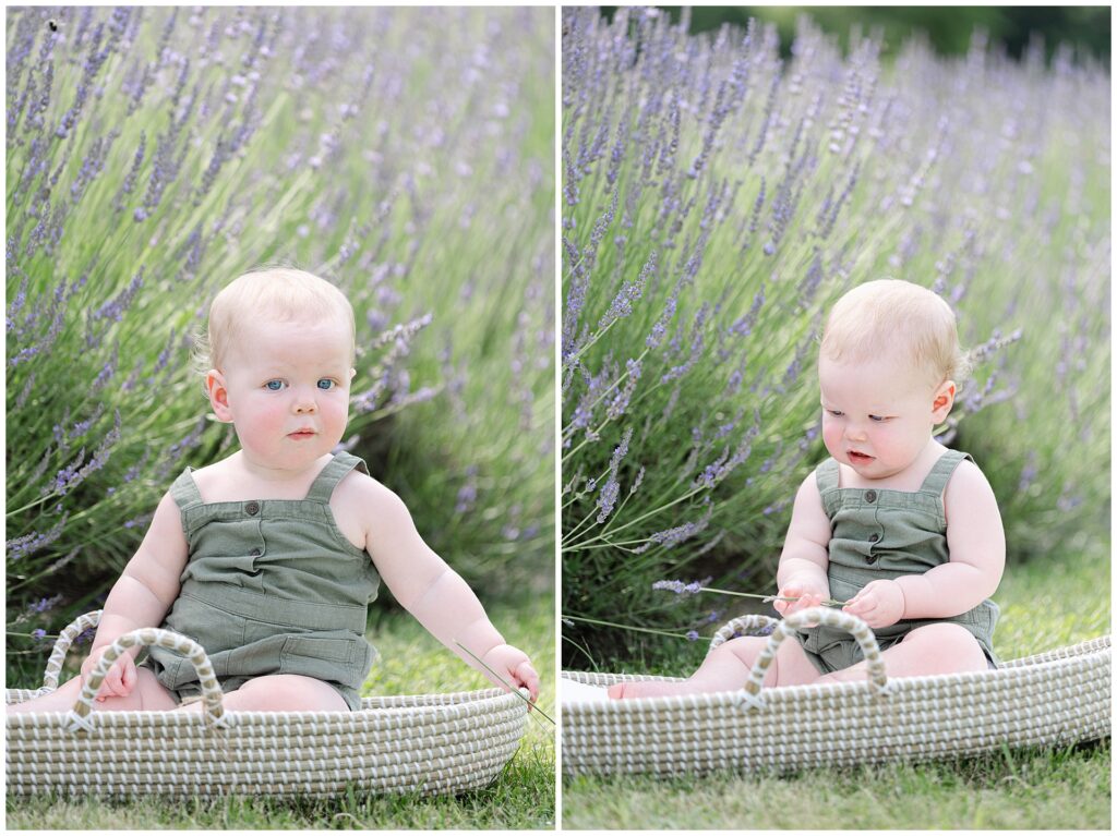 Infant boy holding sprig of lavender during Gaithersburg summer milestone session; relaxed outdoor pose shows simple styling and soft neutral tones for lavender-themed baby portraits