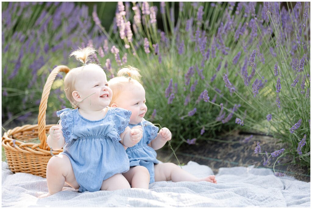 Twin baby girls in ruffled blue rompers during Maryland lavender photo session; ideal styling inspiration for milestone portraits or first birthday twin mini sessions