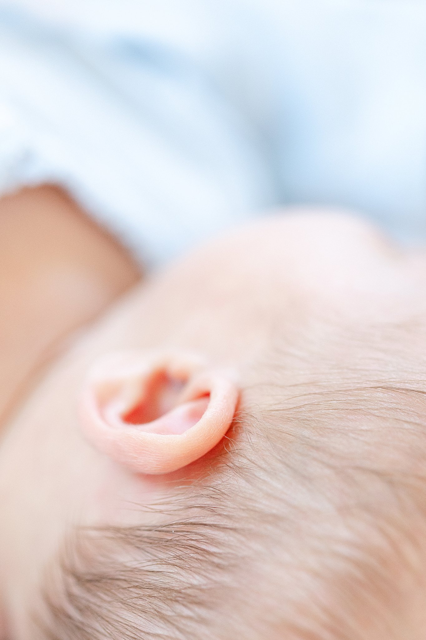 in-home newborn photography session in Montgomery County Maryland