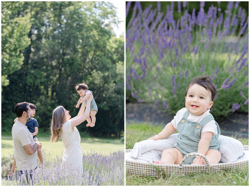 Family laughing together in lavender field during Gaithersburg mini session; soft colors, natural light, and movement highlight emotional storytelling in seasonal family portraits