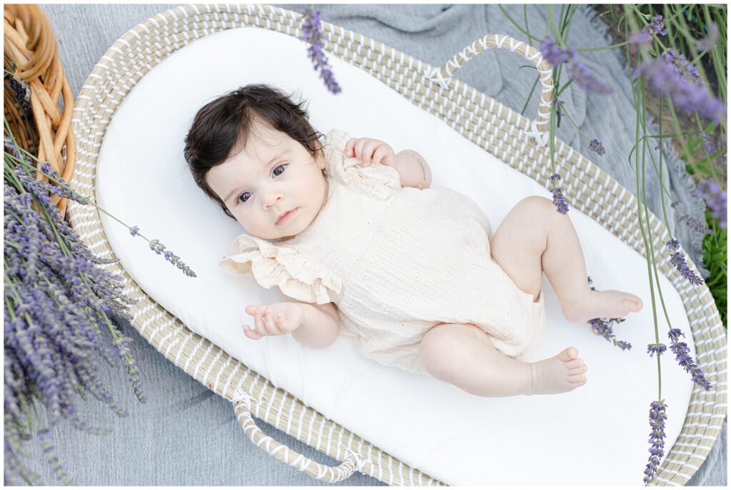 Four-month-old baby girl in pale ruffled dress during Gaithersburg lavender mini session; in bassinet surrounded by lavender in soft natural light for a classic baby portrait in outdoor setting