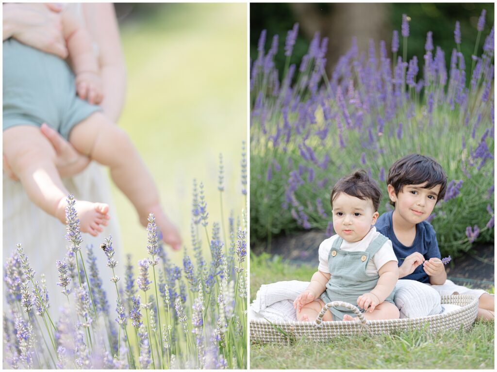 Toddler playing in lavender field during Maryland mini session with younger sibling nearby; natural candid moment shows how lavender sessions suit families with young kids