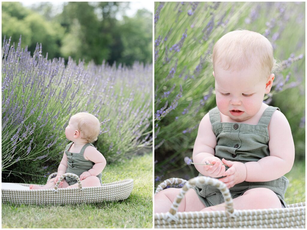 Close-up of baby playing with lavender during Maryland milestone photo session; soft lighting and sage green romper offer natural outfit ideas for first-year portraits in outdoor settings