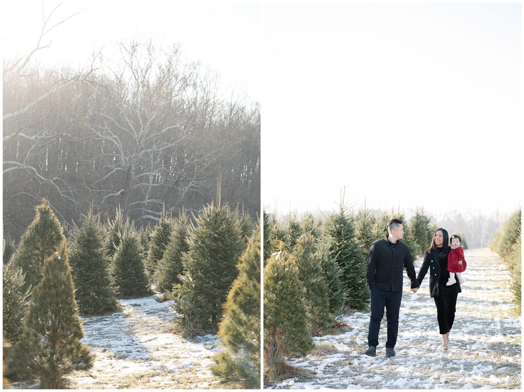 Family portrait photographed at Gaver Farm, a Christmas tree farm in Frederick Maryland, surrounded by rows of evergreens. These Maryland Christmas tree family photos showcase a natural outdoor holiday setting.
