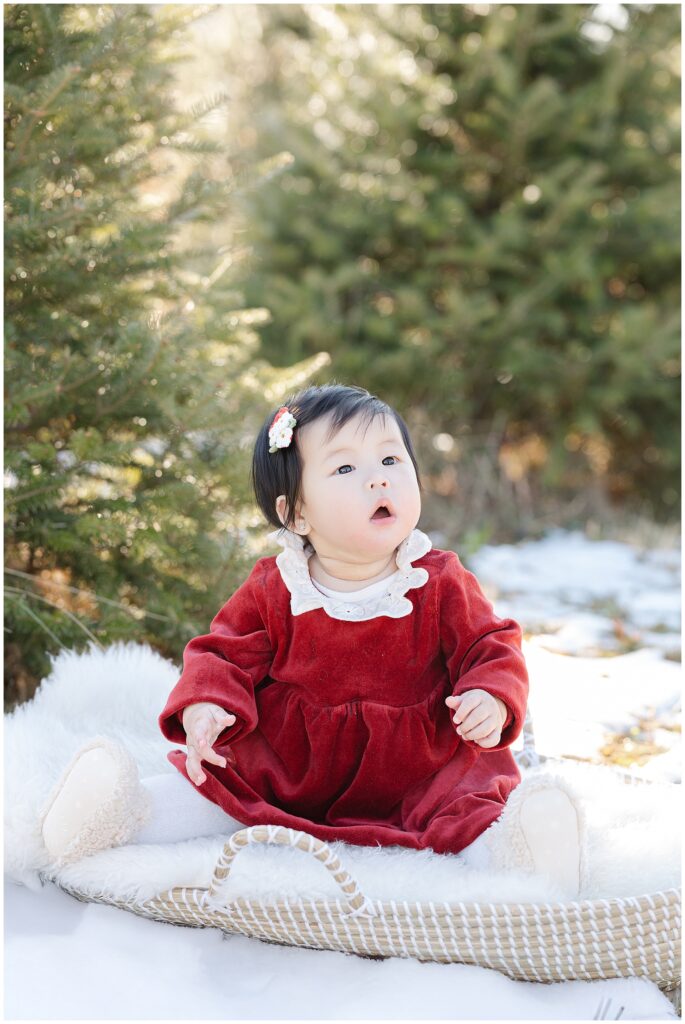 Christmas tree family photos in Frederick Maryland photographed at a local tree farm during the holiday season. This image reflects the style of Maryland Christmas tree mini sessions and full family portrait sessions.