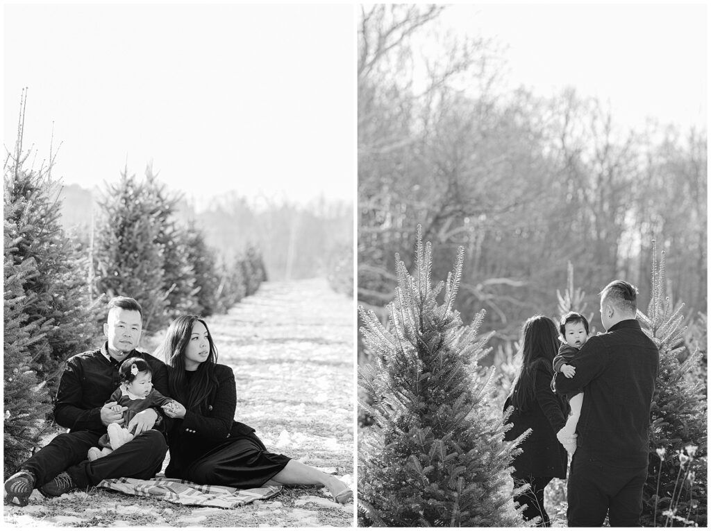 Maryland Christmas tree farm family photos featuring parents and baby surrounded by evergreen trees. This holiday family portrait was photographed outdoors at a Christmas tree farm in Maryland.