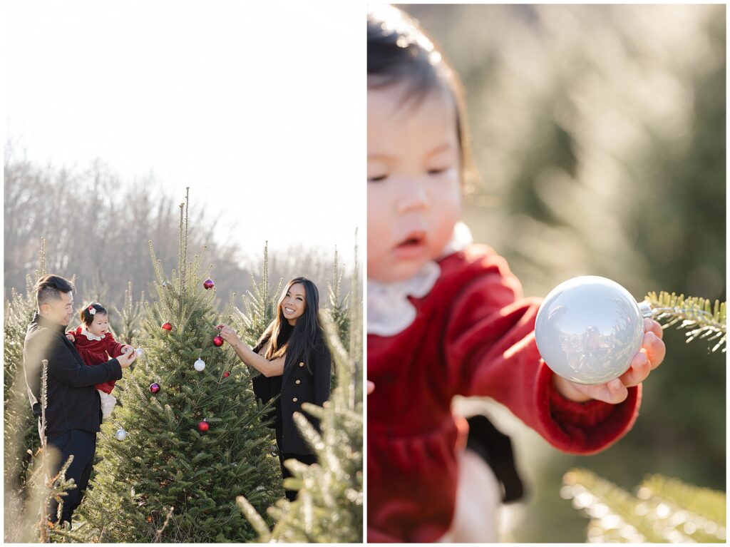 Maryland Christmas tree mini session style family photos at a Christmas tree farm featuring parents and baby. This image reflects the look and feel of holiday family photos taken at a Maryland tree farm.