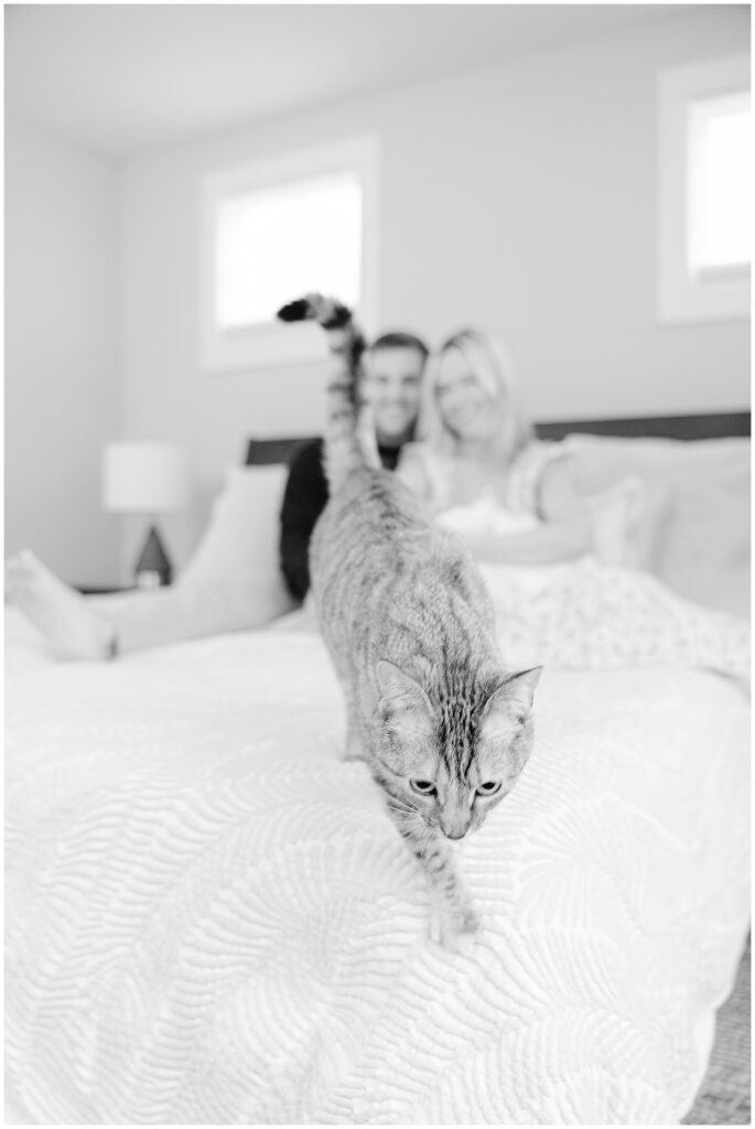 Parents hold their baby in a black and white photo in the background as their cat jumps off the bed